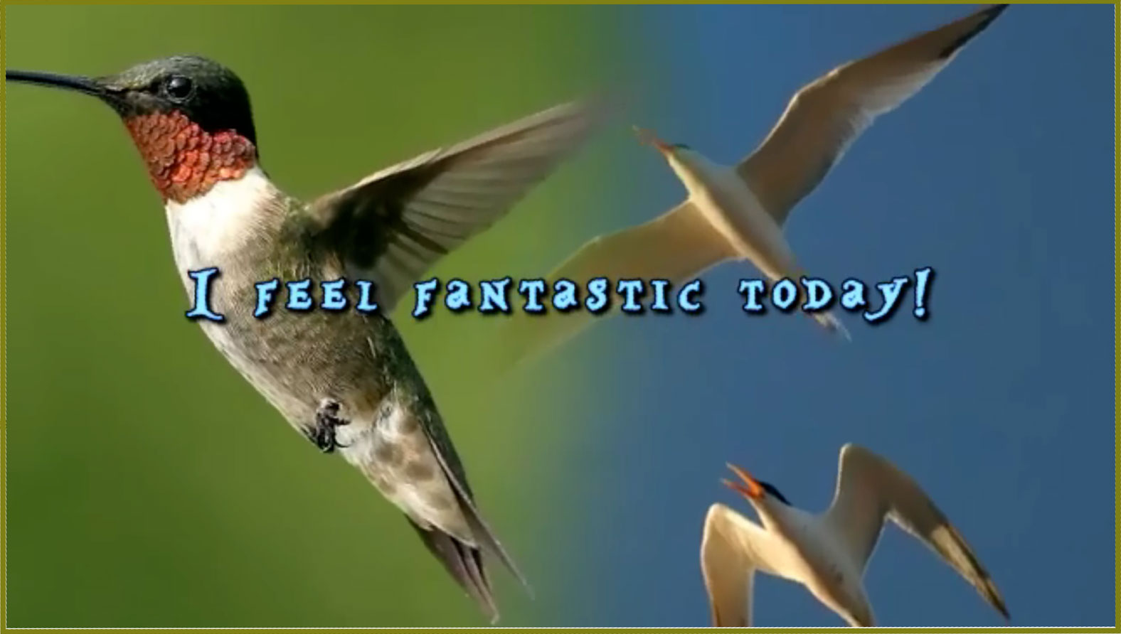 Sample <? echo $smalltitle; ?> Screenshot